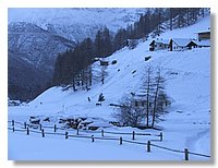 2006_01050107b.jpg
