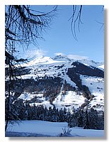 2006_01050121.JPG