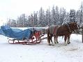 2006_01050027b