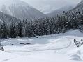 2006_01050059b