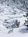 2006_01050061b
