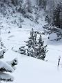 2006_01050063b