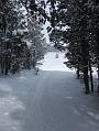 2006_01050066