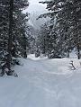 2006_01050067