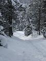2006_01050068