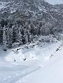 2006_01050069b