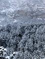 2006_01050073b