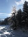 2006_01050083