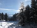 2006_01050084