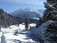 2006_01050086