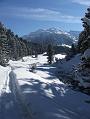 2006_01050088