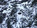 2006_01050117