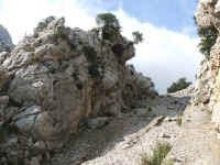 DSCF1419.jpg (98409 Byte)