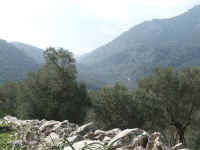DSCF1436.jpg (81823 Byte)
