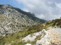 DSCF1447.jpg (95300 Byte)