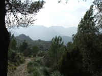 DSCF1451.jpg (82112 Byte)
