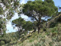 DSCF1455.jpg (147789 Byte)