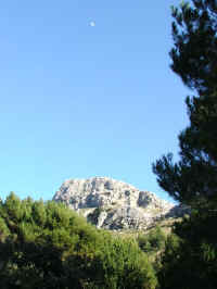 DSCF1505.jpg (36145 Byte)