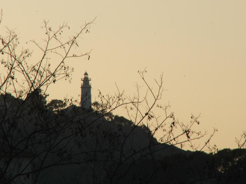 DSCF1519.jpg (37790 Byte)