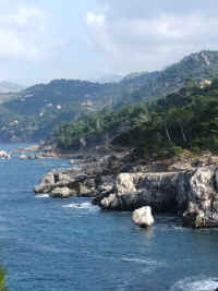 DSCF1559.jpg (44017 Byte)