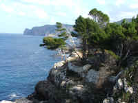 DSCF1560.jpg (85584 Byte)