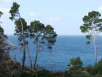 DSCF1567.jpg (69908 Byte)