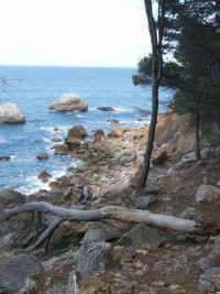 DSCF1568.jpg (55289 Byte)