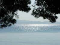 DSCF1605.jpg (79390 Byte)