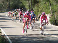 DSCF1624.jpg (110463 Byte)