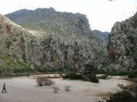 DSCF1629.jpg (95326 Byte)