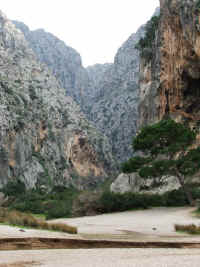 DSCF1630.jpg (56066 Byte)