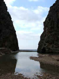 DSCF1631.jpg (31786 Byte)
