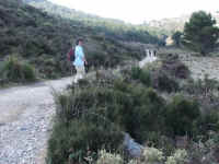 DSCF1704.jpg (101078 Byte)
