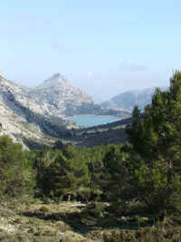 DSCF1706.jpg (43654 Byte)