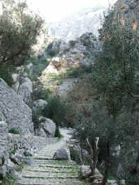 DSCF1723.jpg (73823 Byte)