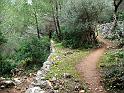 DSCF1898b