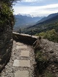 IMG_1212