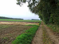 DSCF1721_1.jpg (112122 Byte)