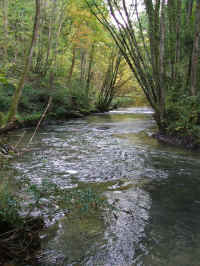DSCF1748_1.jpg (125285 Byte)