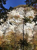 IMG_4610