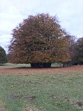 IMG_4570