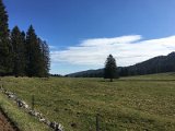 IMG_4578