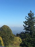 IMG_4591