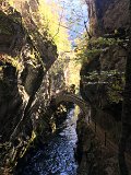 IMG_4507