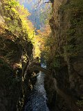 IMG_4510
