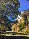 IMG_4517