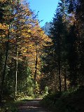 IMG_4519