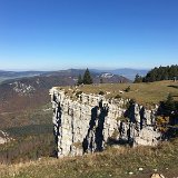 IMG_4535