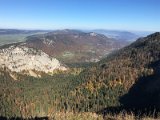 IMG_4538