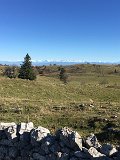 IMG_4551